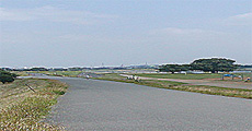 駅名で探す 沿線検索